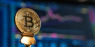Can Bitcoin End Up Being “Among The Very Best Properties In The World”? This Specialist Bets On It