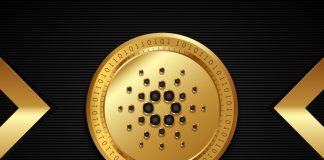 Will The Vasil Hard Fork Trigger A Cardano (ADA) Bull Run? Will The Vasil Hard Fork Trigger A Cardano (ADA) Bull Run?