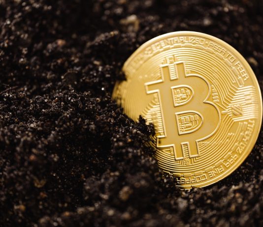 How Will Cynthia Lummis’s Proposed Expense Affect Bitcoin