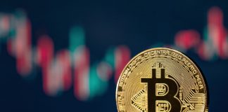 Crypto crash: El Salvador’s bitcoin holdings down 50% as minister states threat is ‘very very little’