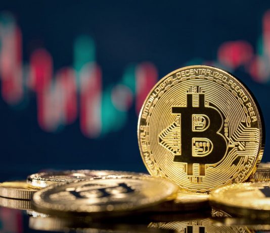 Crypto crash: El Salvador’s bitcoin holdings down 50% as minister states threat is ‘very very little’