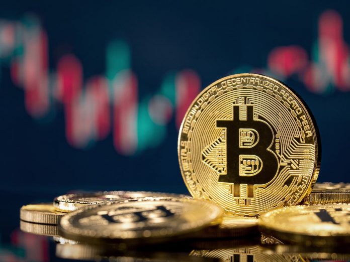 Crypto crash: El Salvador’s bitcoin holdings down 50% as minister states threat is ‘very very little’ Crypto crash: El Salvador’s bitcoin holdings down 50% as minister states threat is ‘very very little’