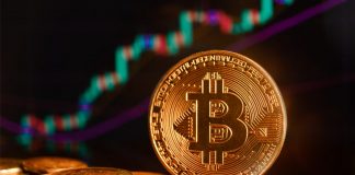 Bitcoin Crash Sends Out Institutional Investors Running For The Hills Bitcoin Crash Sends Out Institutional Investors Running For The Hills