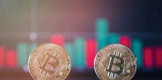 Bitcoin cost crashes even more in the middle of cautions it might still go ‘much more south’