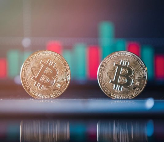 Bitcoin cost crashes even more in the middle of cautions it might still go ‘much more south’