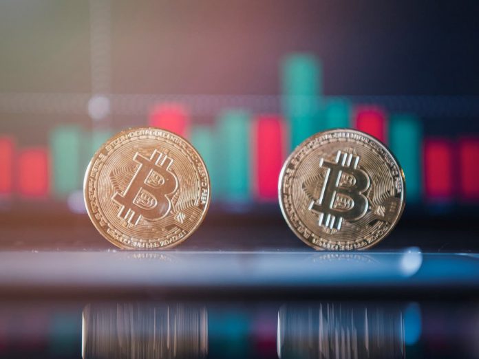 Bitcoin cost crashes even more in the middle of cautions it might still go ‘much more south’