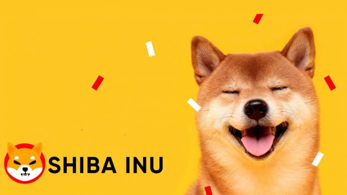 Shiba Inu Ranks No. 1 In List Of Coins Americans Wish To Offer, Study Reveals