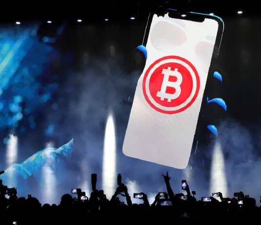 Bitcoin cost plunges through crucial turning point, amidst worries of additional crypto collapse