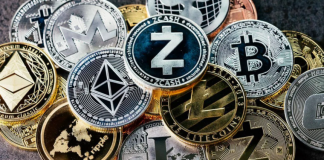 In a Bearishness, Keep Your Coins & & Attempt to Make More Cryptos