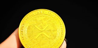 XRP At $0.31, Will It Get On The Benefit?