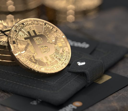 Bitcoin May Have Struck Bottom According to These Indicators, BTC Targets $23 K?