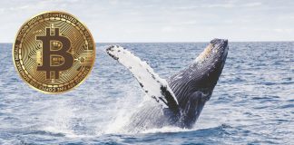 Tracking Whales, What This Bitcoin Divergence Might Hint About BTC’s Rate
