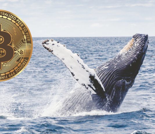 Tracking Whales, What This Bitcoin Divergence Might Hint About BTC’s Rate