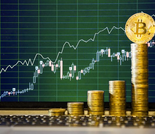 Bitcoin Will Rebound In second Half Of 2022, States Bloomberg Expert