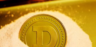 Bulls In Control, Dogecoin Eyeing Extra Short-term Gains?