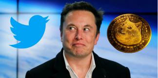Dogecoin (DOGE) Seen Leaping This Month, Regardless Of Twitter-Musk Offer Collapse