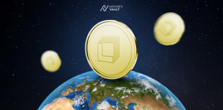 A New Property Class of Digital Financial Investment