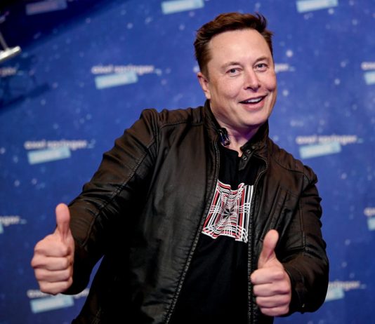 Tesla offers 75% of its Bitcoin holdings, however not any Dogecoin, Musk states