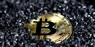 Bitcoin NUPL Reveals Typical Holder Back In Revenue, However For For how long?