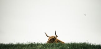 Why Hidden Bitcoin Bulls Might Be Prepared To Charge