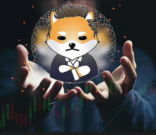 Dogelon Leaps 6.15% Over The Last 24 Hours– Can ELON Rally Even More?