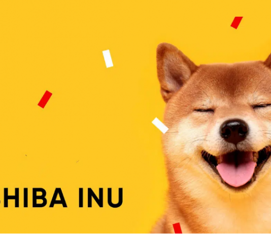 Shiba Inu Breaks Sag Line– Is A Pattern Turnaround Imminent?