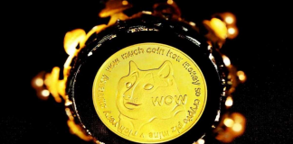 Dogecoin Unseated From No. 10 Area In Rankings– Can DOGE Stay Relevant?
