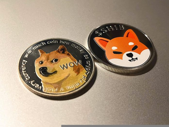 Newest Report Reveals Ethereum Whales Purchase 312 Billion SHIB Throughout Crypto Winter Season