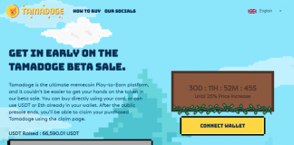 Leading 5 New Cryptocurrency to Purchase Throughout The Crypto Bearish Market