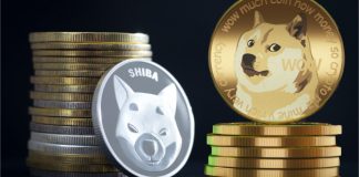 TA- Shiba Inu Rate Struggles, However Might Be Set For A Significant Run