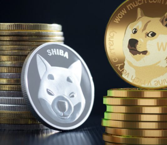 TA- Shiba Inu Rate Struggles, However Might Be Set For A Significant Run