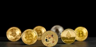 Dogecoin up 25% in the middle of crypto market renewal