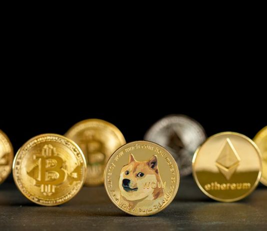 Dogecoin up 25% in the middle of crypto market renewal