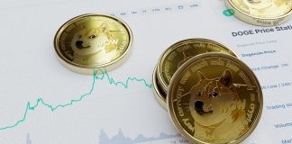 Bitcoin Loses Ground While Dogecoin Metrics Skyrocket