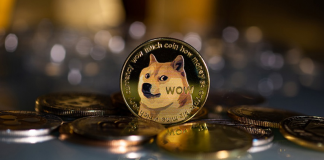 Dogecoin Jumps 15% In 24 Hours As DOGE Gets Rid Of Vital Level