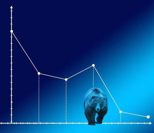 Bitcoin Cost To See More Dumps, Peter Brandt Projections