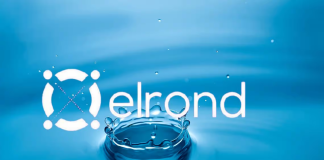 Elrond (EGLD) Develops Bearish Belief, Will Rate Coil Approximately 80 Rather?