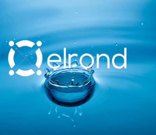 Elrond (EGLD) Develops Bearish Belief, Will Rate Coil Approximately 80 Rather?
