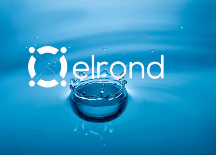 Elrond (EGLD) Develops Bearish Belief, Will Rate Coil Approximately 80 Rather?