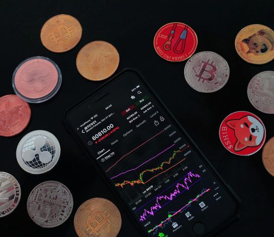 When The Crypto Bear Or Bull Duration Will Start, Studying The Realities