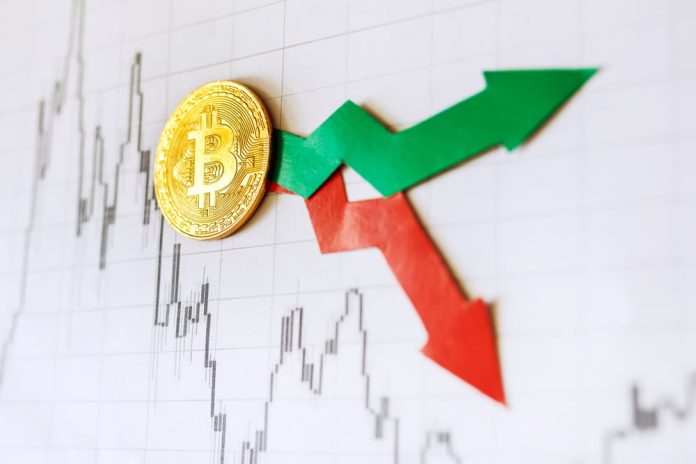TA: Bitcoin Cost Dives Listed Below $20 K, Why BTC Is Susceptible To More Losses