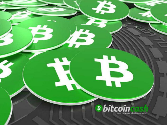 Bitcoin Money Loses 10% In Last 24 Hours, Regardless Of 40% Walking In Trading Volume