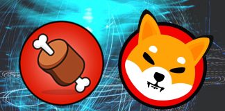 Why Is Shiba Inu’s $BONE Rising And Is It Time To Get In?
