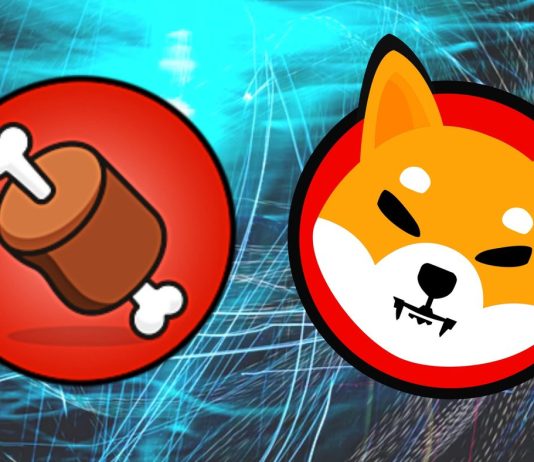 Why Is Shiba Inu’s $BONE Rising And Is It Time To Get In?