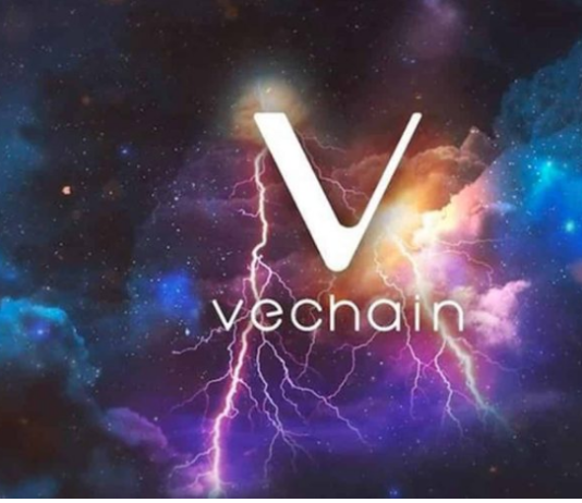 VeChain Drew In Sideways Movement As Veterinarian Cost Deals With Rejection At $0.0247