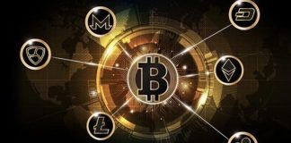 Altcoins Outperform Bitcoin In August Rollercoaster