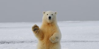 Why Extreme Worry Is Back In Crypto In A Huge Method