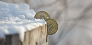 Bitcoin Slumps Below Secret Assistance Level. How Low Can It Get?