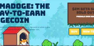 5 Cryptocurrency that May Succeed Regardless Of the Present Market Conditions