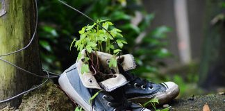 Celsius CEO Mashinsky Proposes Reanimating Platform As A Digital Possession Custody Company Celsius CEO Mashinsky Proposes Reanimating Platform As A Digital Possession Custody Company